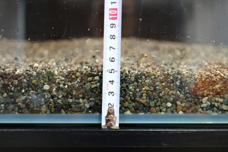メジャーで水槽の底砂の厚みを計測する様子