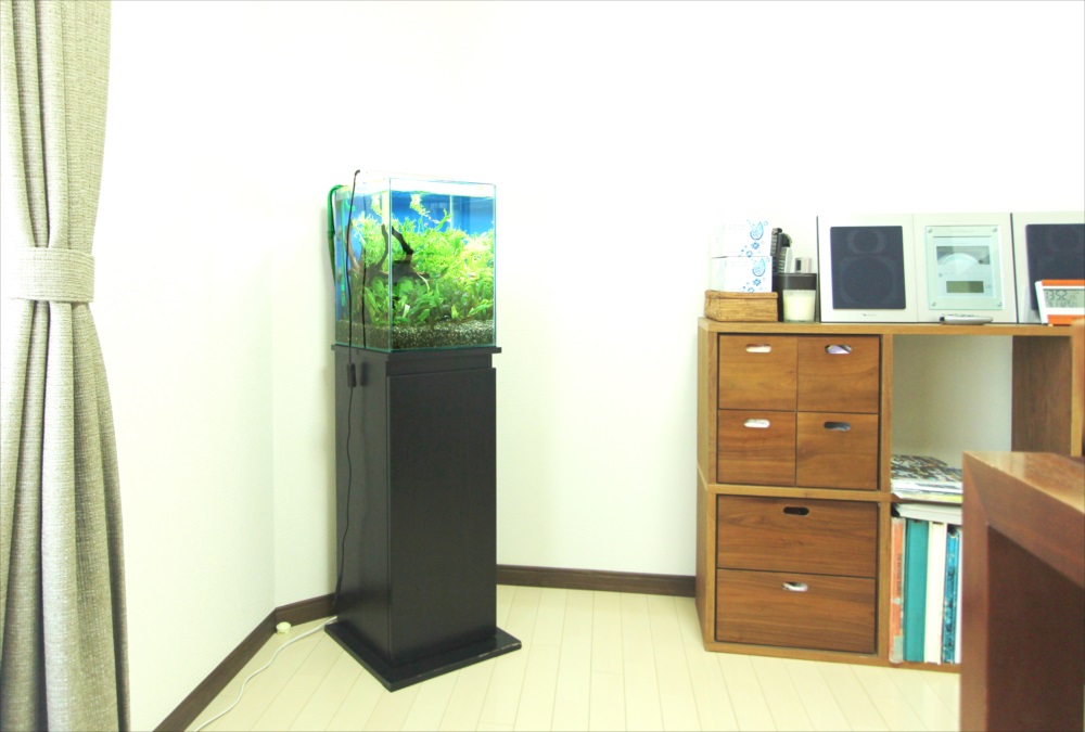 部屋の隅に設置された水草水槽と黒い水槽専用台