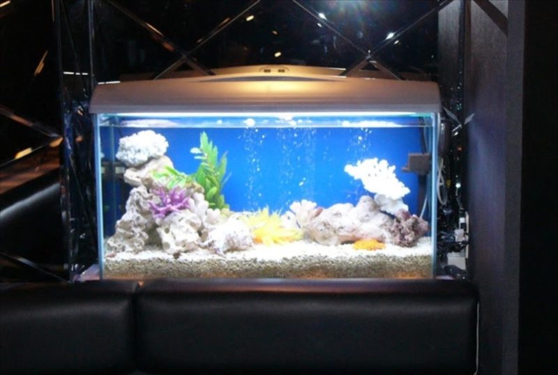 探偵バー 新宿歌舞伎町 様 90cm海水魚水槽 設置事例 水槽画像1
