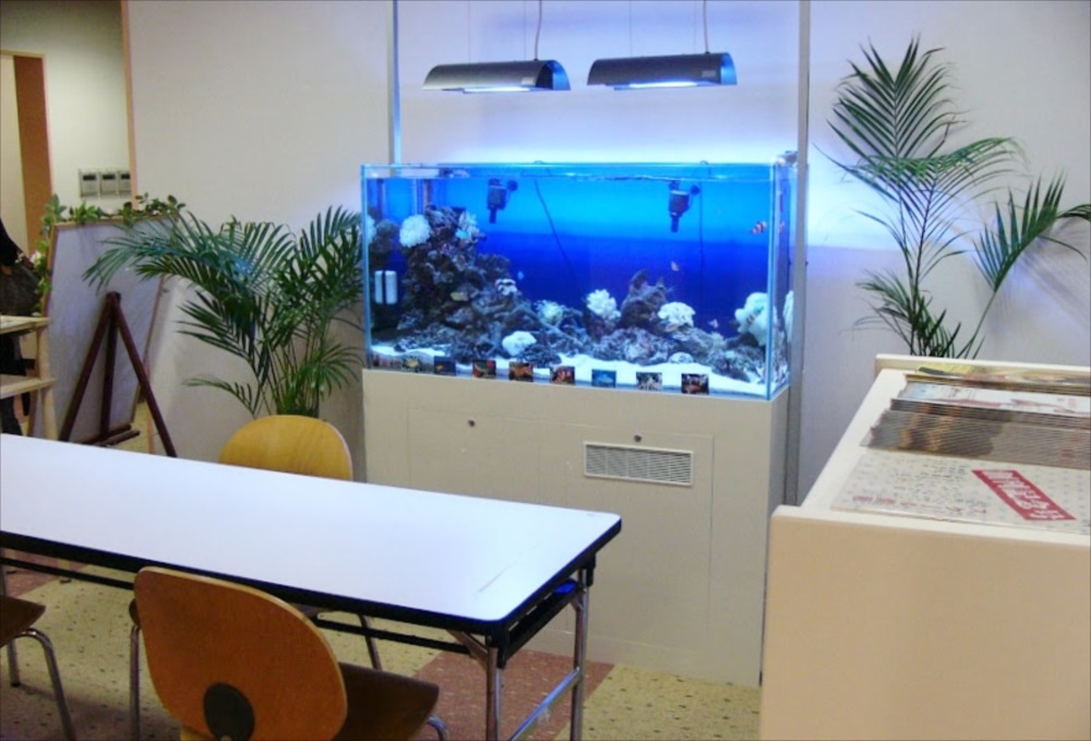 スポーツクラブ 120cm海水魚水槽 斜め画像