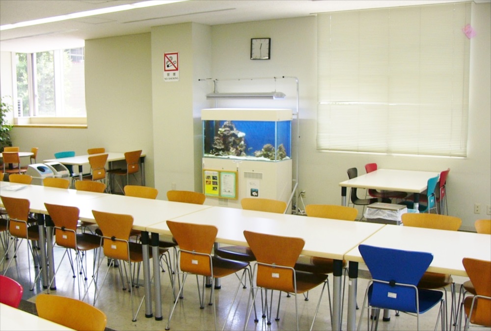 大正大学　学生ラウンジ　海水魚水槽　斜め全体画像