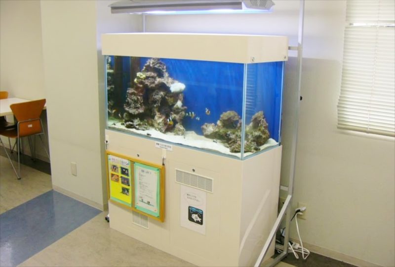 大正大学様　2F学生ラウンジ　海水魚水槽　設置事例 水槽画像２