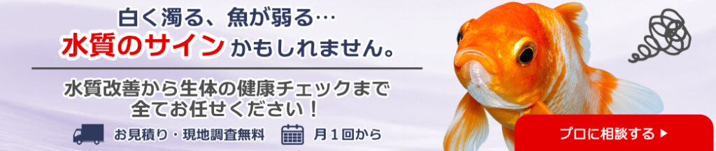 白く濁る魚が弱る水質のサイン見出し画像