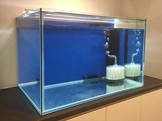 青い背景のベアタンク水槽と投げ込み式フィルター