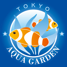 執筆者:アクアガーデン