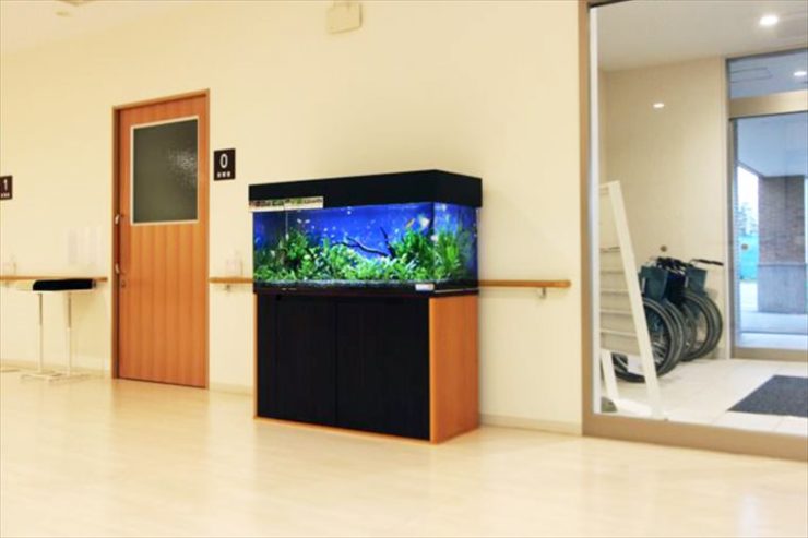 施設廊下の壁際に設置された大型の淡水魚水槽と水槽台