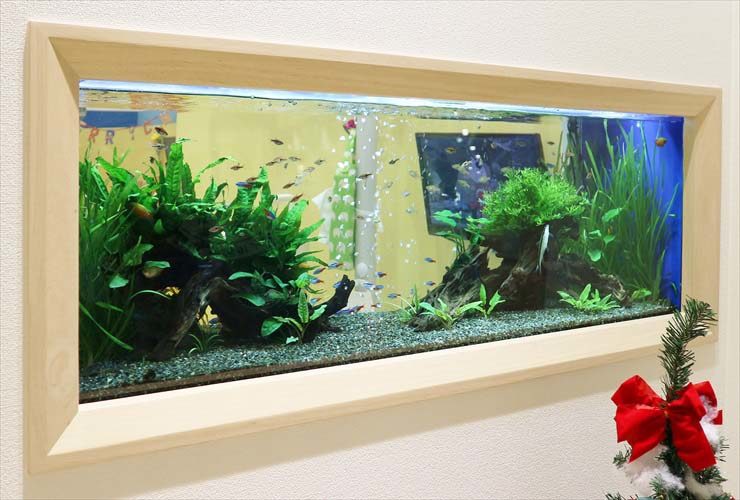 木枠フレームに囲まれた水草と小型魚の壁掛け水槽