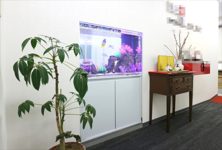 観葉植物の横に設置された埋め込み式の海水魚水槽