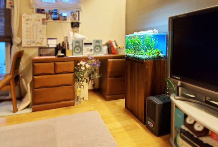 リビングのテレビ横に設置された水草水槽と水槽専用台