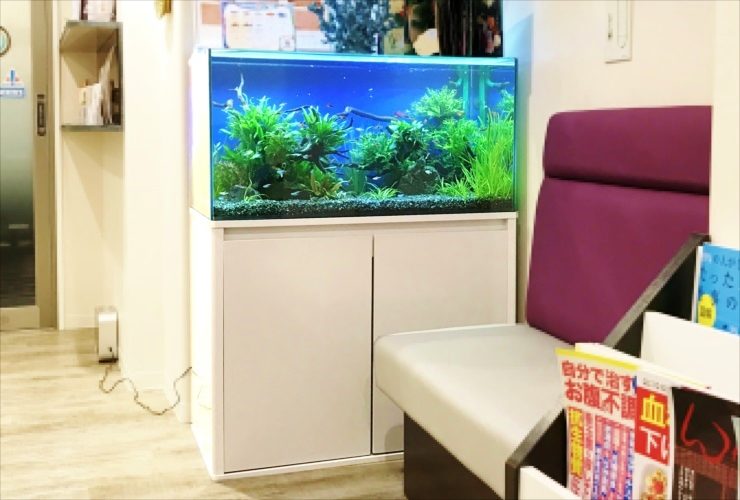 待合室の椅子横に設置された水草と小型魚の熱帯魚水槽