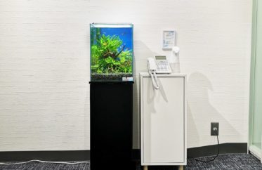 オフィスの受付ロビー　お試し水槽 レンタル事例
