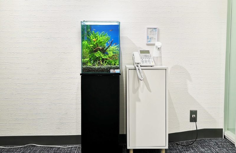 オフィスの受付ロビー　お試し水槽 レンタル事例 水槽画像１