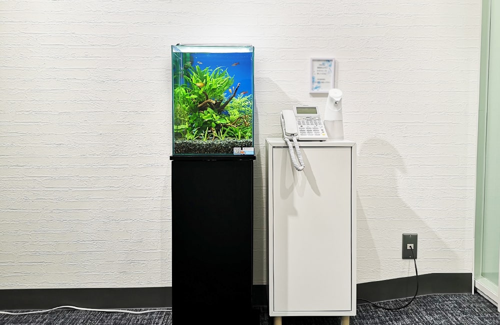 オフィスの受付ロビー お試し水槽 レンタル事例のサムネイル画像