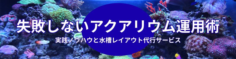 失敗しないアクアリウム運用術の文字とサンゴ礁水槽の画像