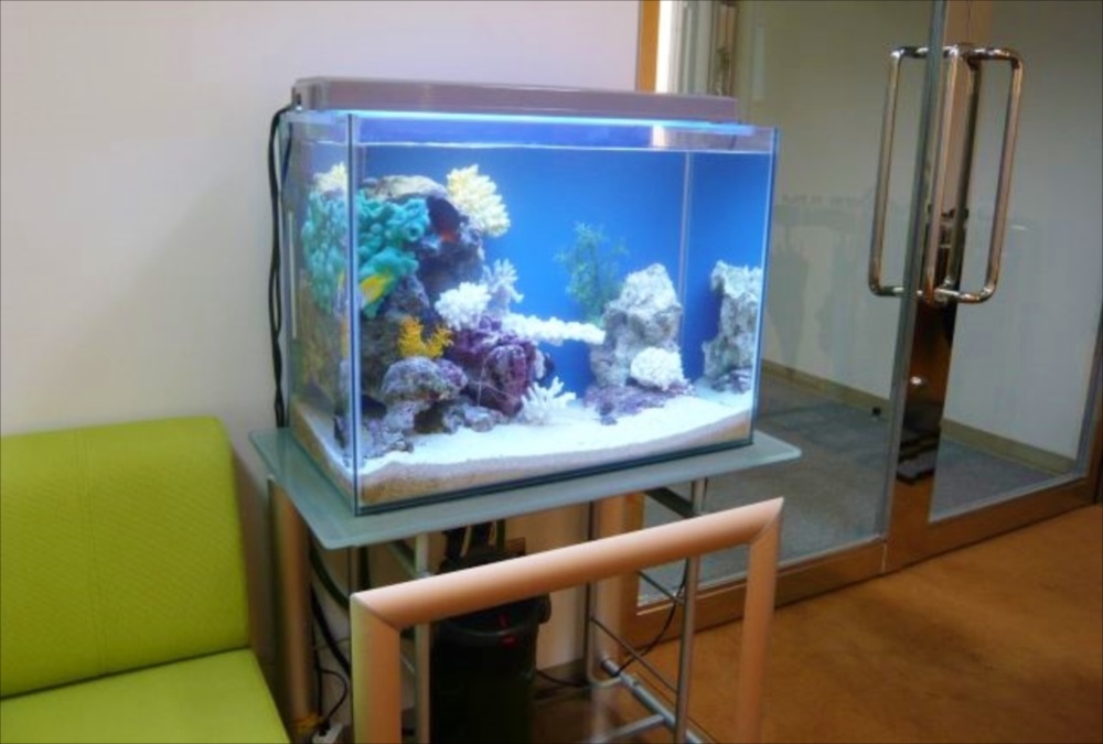 三生管財株式会社 様　60cm海水魚水槽　設置事例 メイン画像
