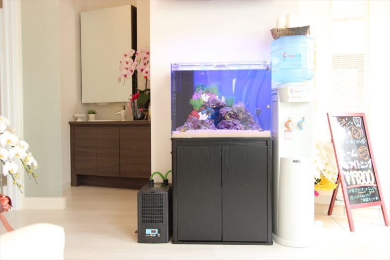 待合室に設置された海水魚水槽と水槽用クーラー