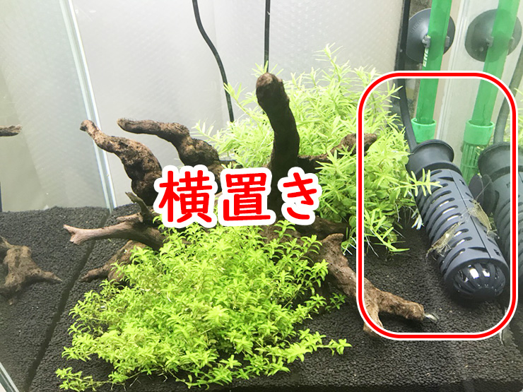 水槽内に横置きされたヒーターと流木や水草のレイアウト