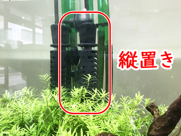 水槽内に縦置きされたヒーターと水草の画像