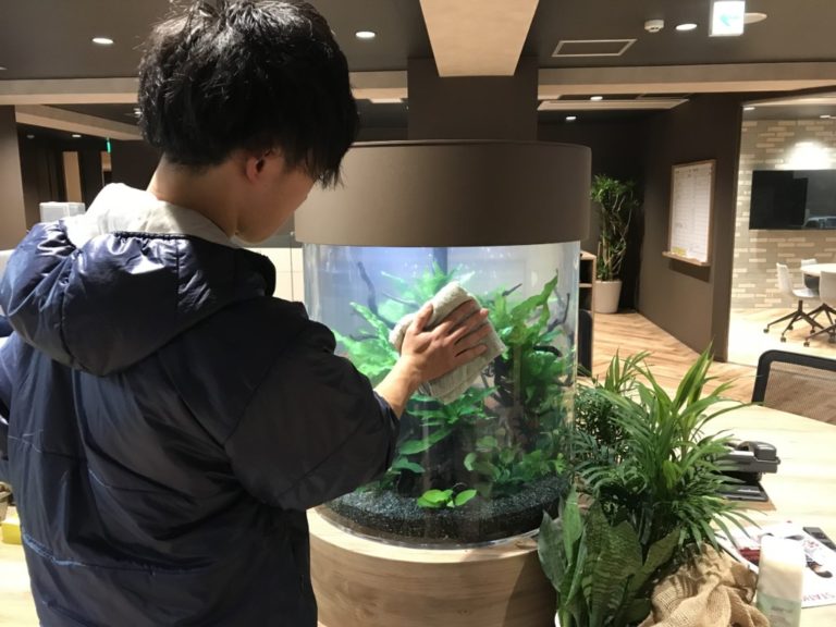 布で円柱水槽の表面を拭き掃除する男性スタッフの姿
