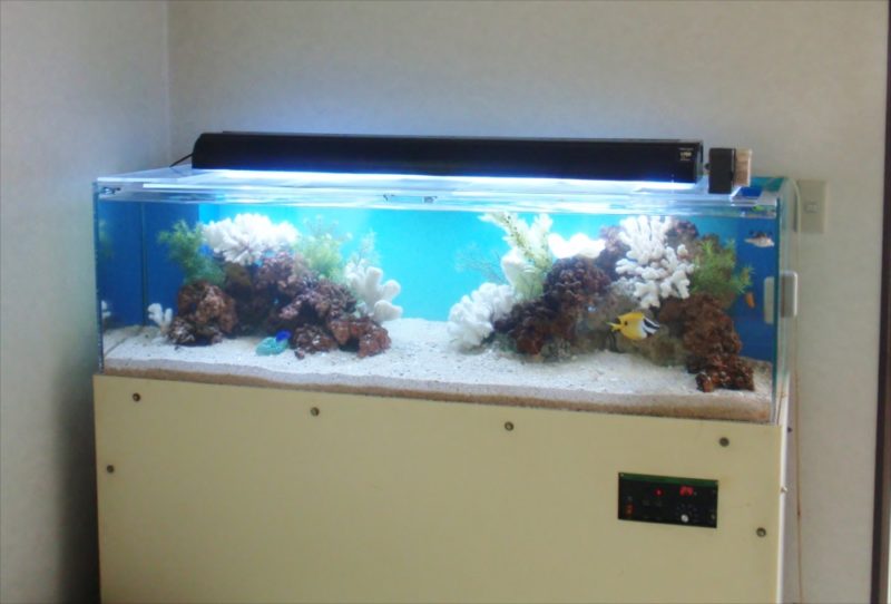 三和レンタル様の150cmサンゴ水槽をフルリニューアル! 水槽画像1