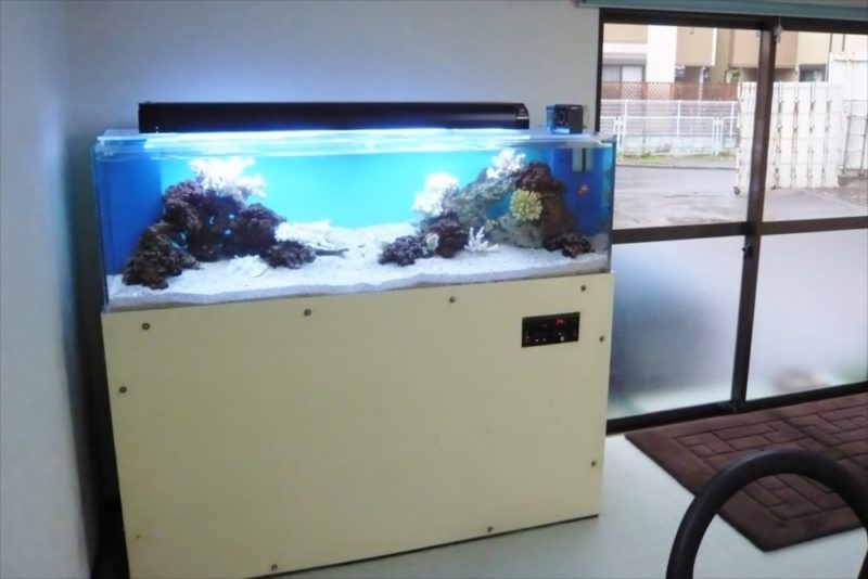 三和レンタル様の150cmサンゴ水槽をフルリニューアル! 水槽画像2