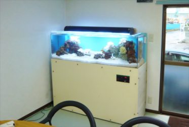 三和レンタル様の150cmサンゴ水槽をフルリニューアル！
