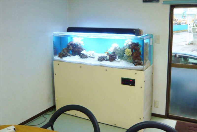 三和レンタル様の150cmサンゴ水槽をフルリニューアル! 水槽画像4