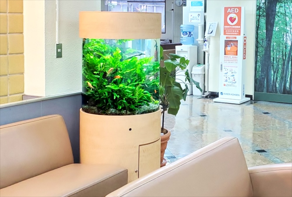 待合室のソファ横に設置された円柱型の水草水槽