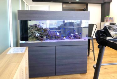 オフィス事務所　大型150cm海水魚水槽　レンタル事例