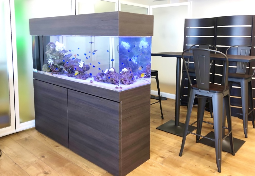 木目調キャビネットに設置された大型の海水魚水槽