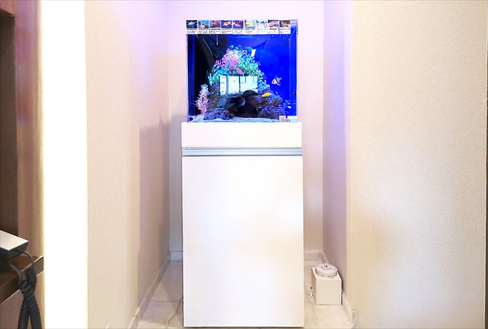 オフィス 受付 45cm海水魚水槽 全体画像