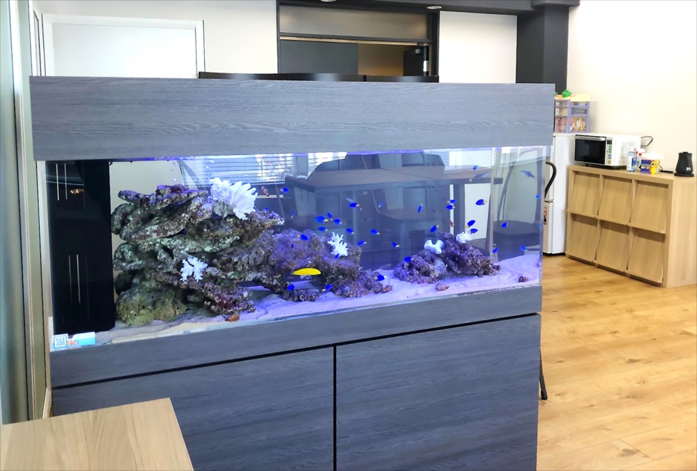 オフィス事務所 150cm海水魚水槽 斜めアップ画像