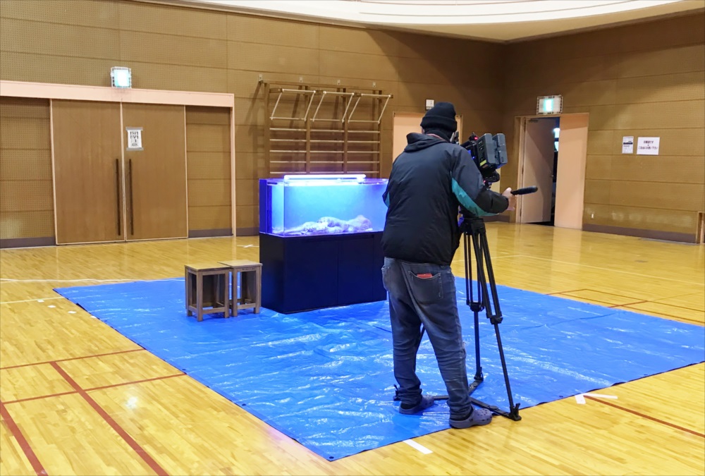 テレビ番組　120cm海水魚水槽　撮影画像