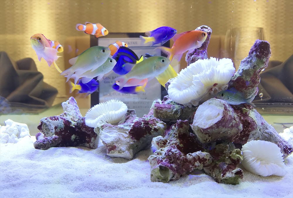 サンゴ岩と海水魚が泳ぐ明るい海水水槽のレイアウト