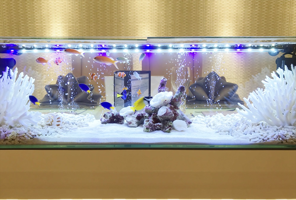 アクアリウムウェディング　海水魚水槽　正面アップ画像