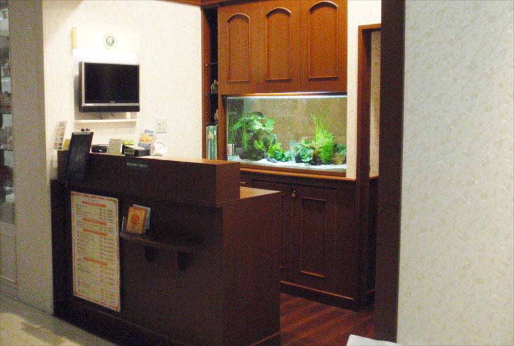 木製カウンター奥に埋め込まれた大型水草水槽