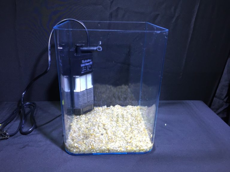 砂利を敷いた小型水槽と投げ込み式フィルターのセットアップ