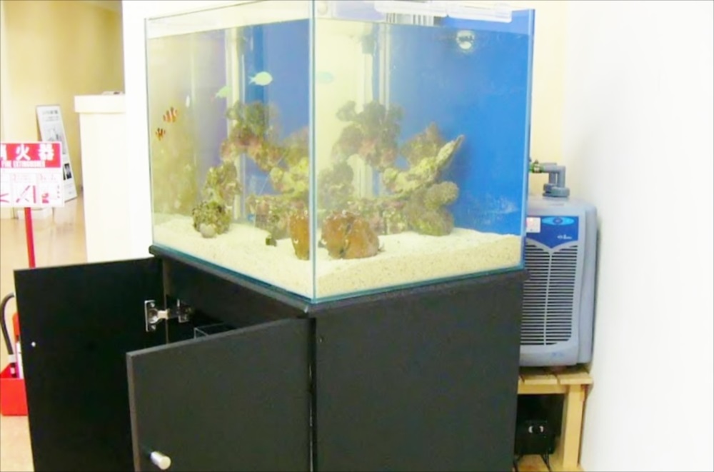 黒い水槽台に設置された海水魚水槽と横に置かれた水槽用クーラー