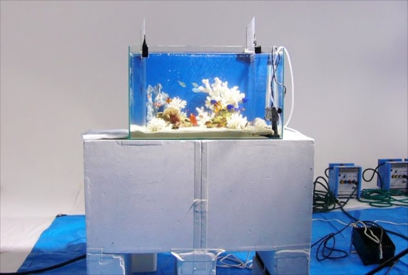 CM撮影の素材撮影協力 90cm海水魚水槽・淡水魚水槽等を設置 水槽画像3