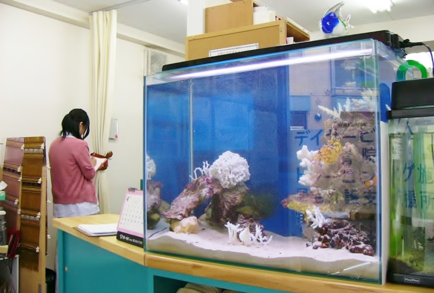 デイサービスセンター様に60cm海水魚水槽を設置 メイン画像