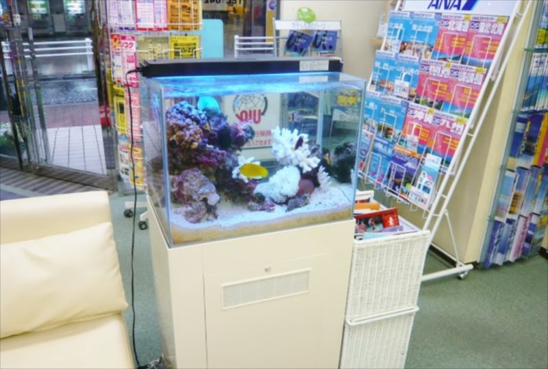 HIS様 店舗に60cm海水魚水槽を設置 水槽画像1