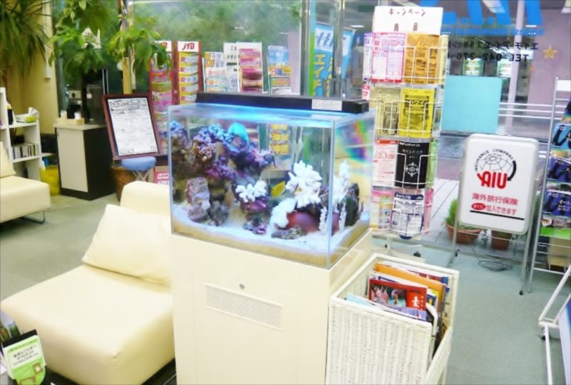 HIS様 店舗に60cm海水魚水槽を設置 水槽画像2