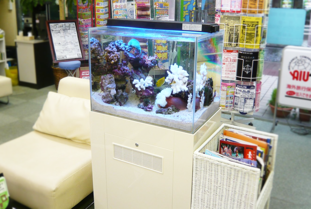 待合室に設置されたサンゴ岩のある海水魚水槽