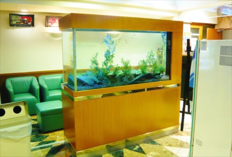 パーラー大丸様 店内の250cm淡水魚水槽をメンテナンスしました 水槽画像3