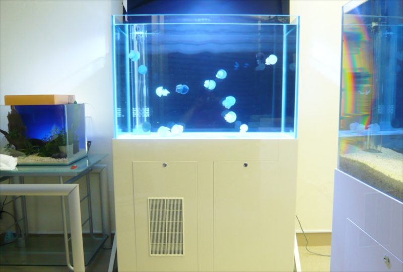 豊島区企業様に60cmクラゲ水槽を設置 水槽画像4
