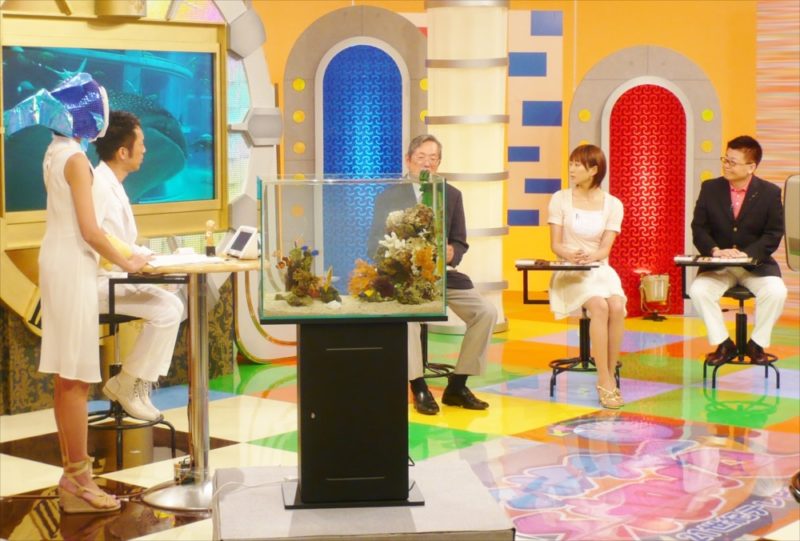 スタジオ撮影協力 60cm海水魚水槽を設置 水槽画像3