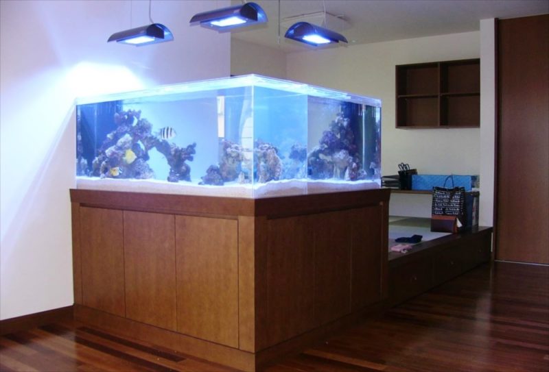 埼玉県 個人宅様 水族館のような大型海水魚水槽 販売・設置事例 水槽画像2