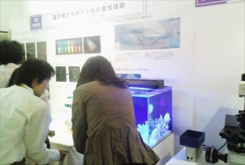 都内展示会に60cm海水水槽を設置 水槽画像2