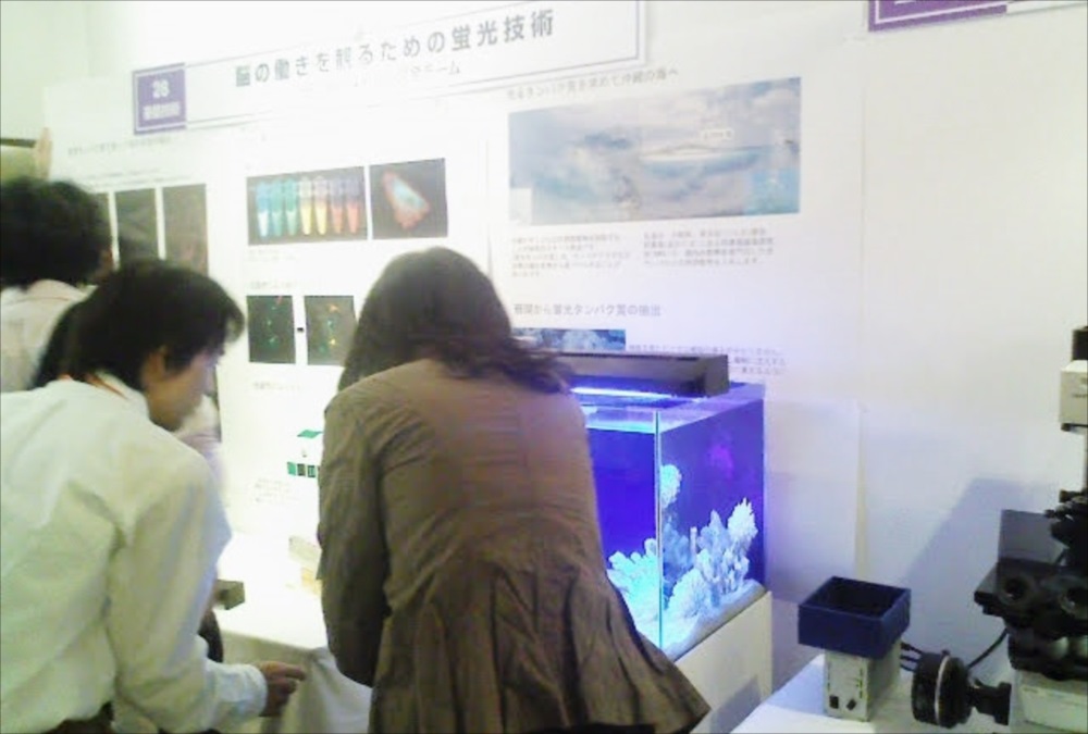 脳の働きを測るための蛍光技術の展示パネルと水槽