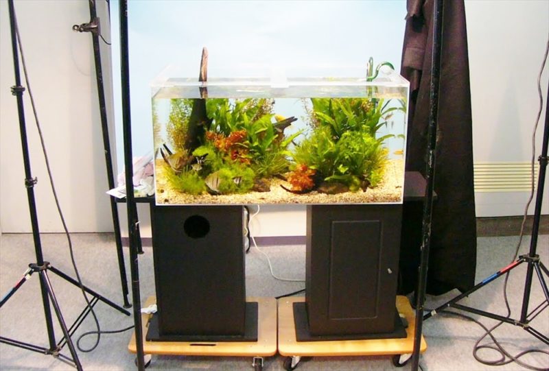 都内雑誌社に90cm淡水魚水槽を短期レンタルしました 水槽画像２